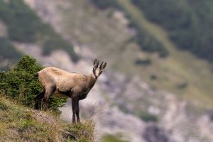 comp_img_6366-kopie