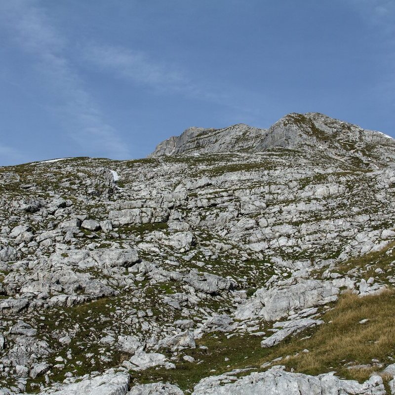 comp_img_7125