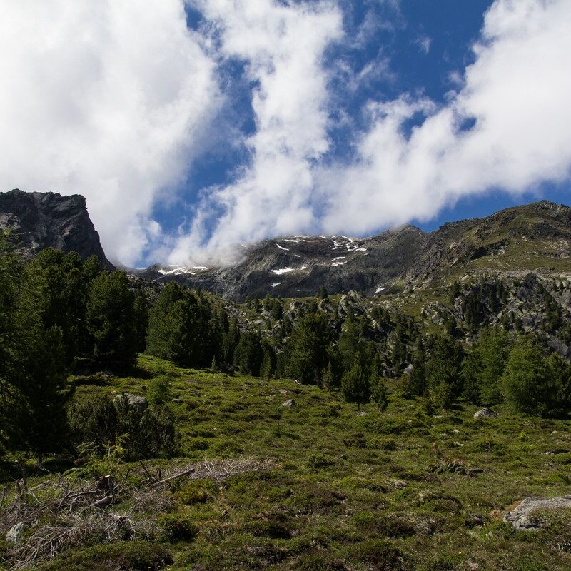 comp_img_8685