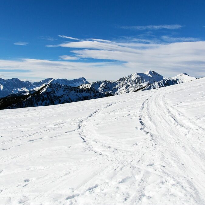 comp_img_0768-copy_2
