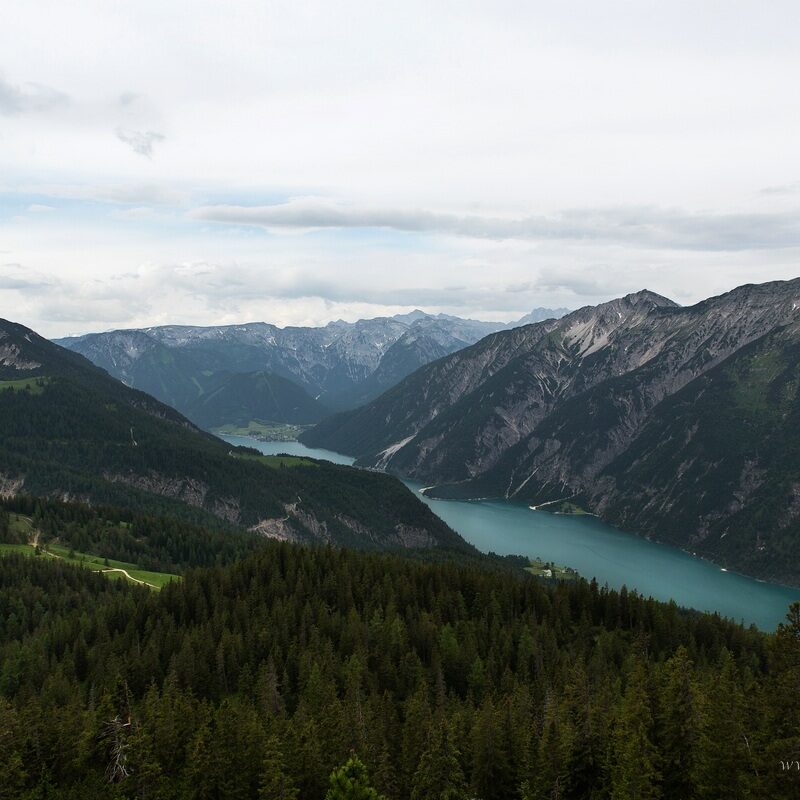 comp_img_2056