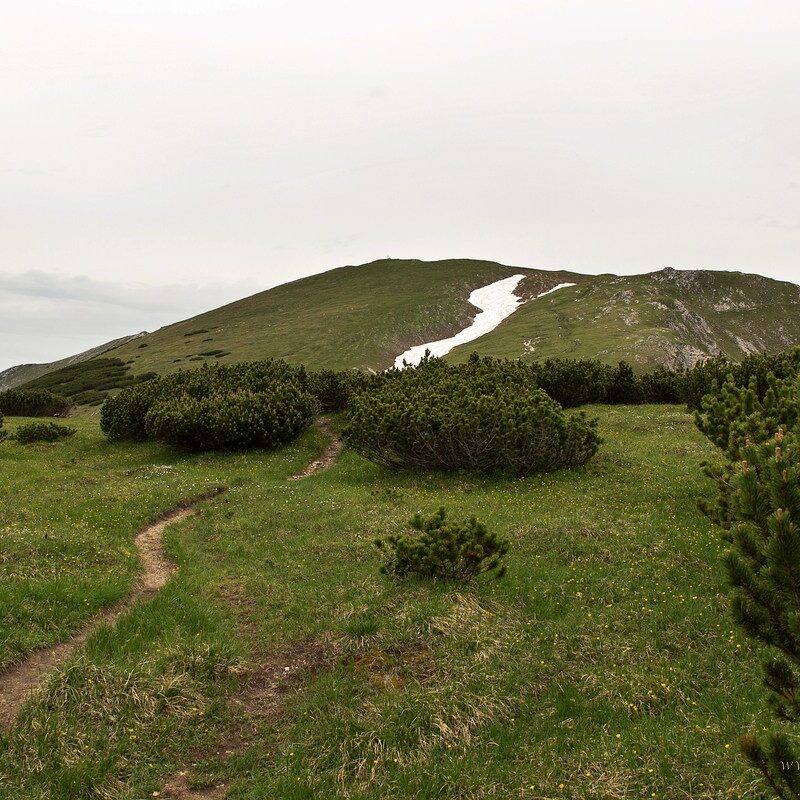 comp_img_2059