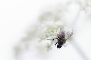 comp_IMG_5165