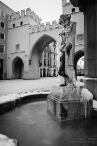 comp_img_0014-2