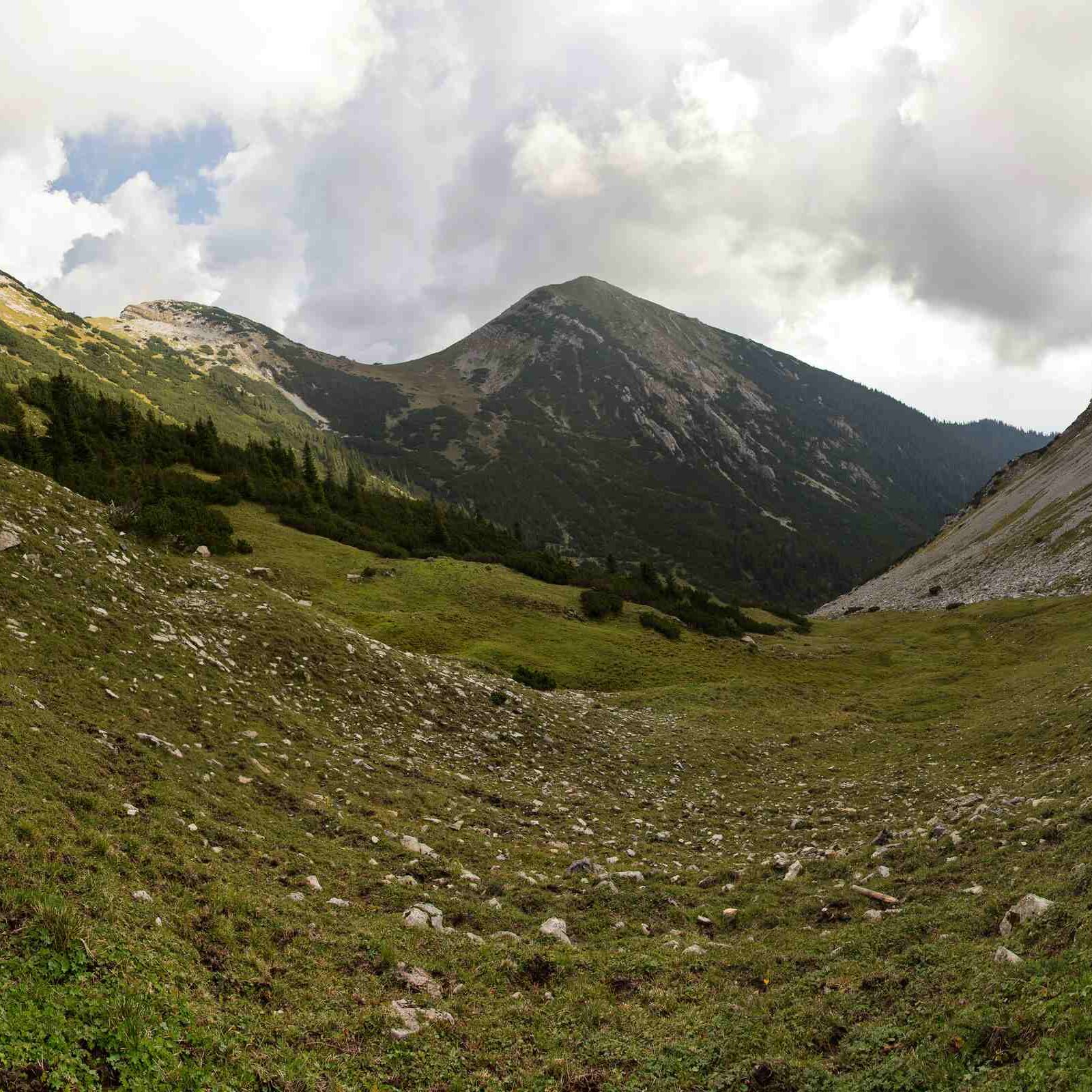 comp_img_9246_stitch-copy