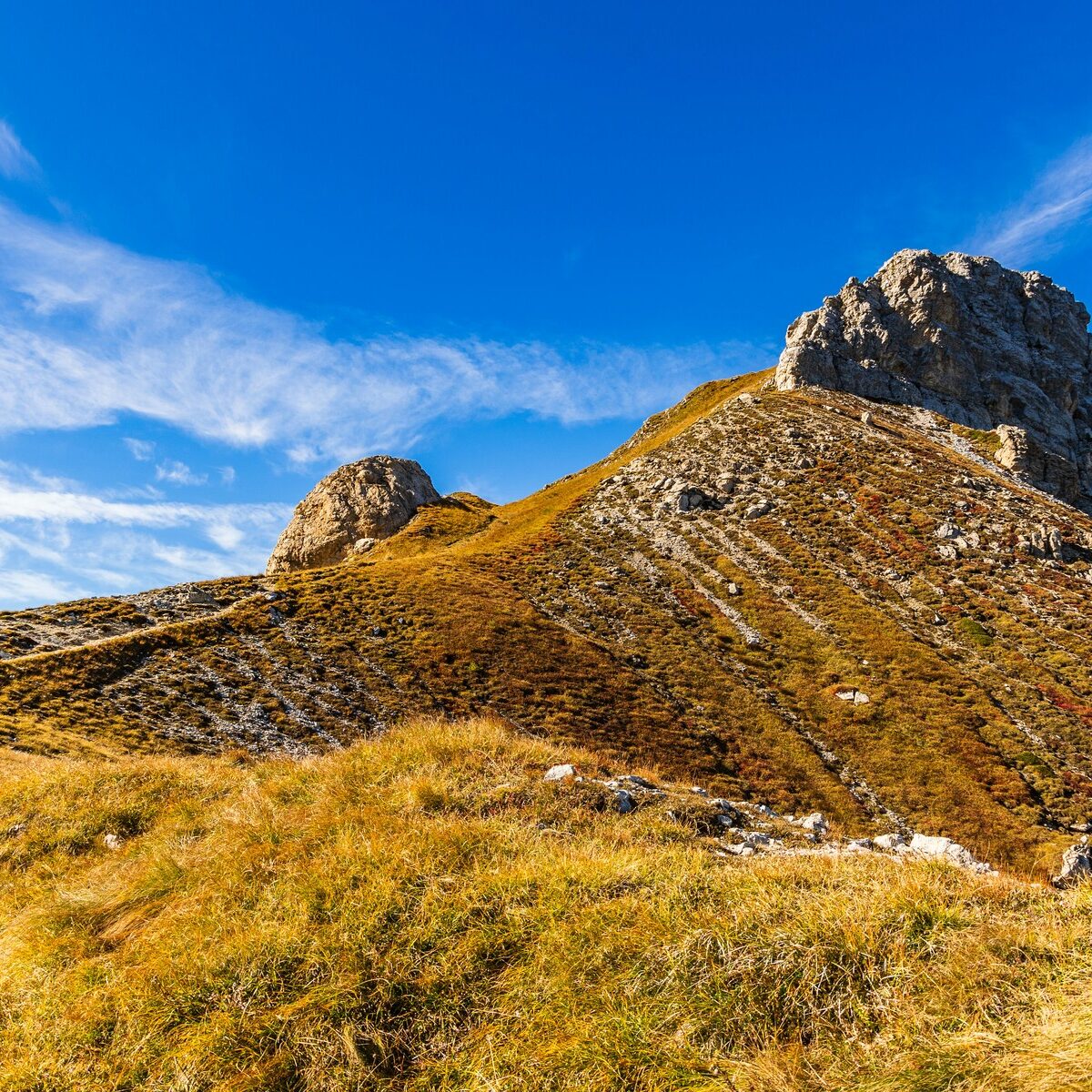 Landschaft_Rosengarten_Dolomiten_Viezzena_Viesena_Herbst_Wanderung