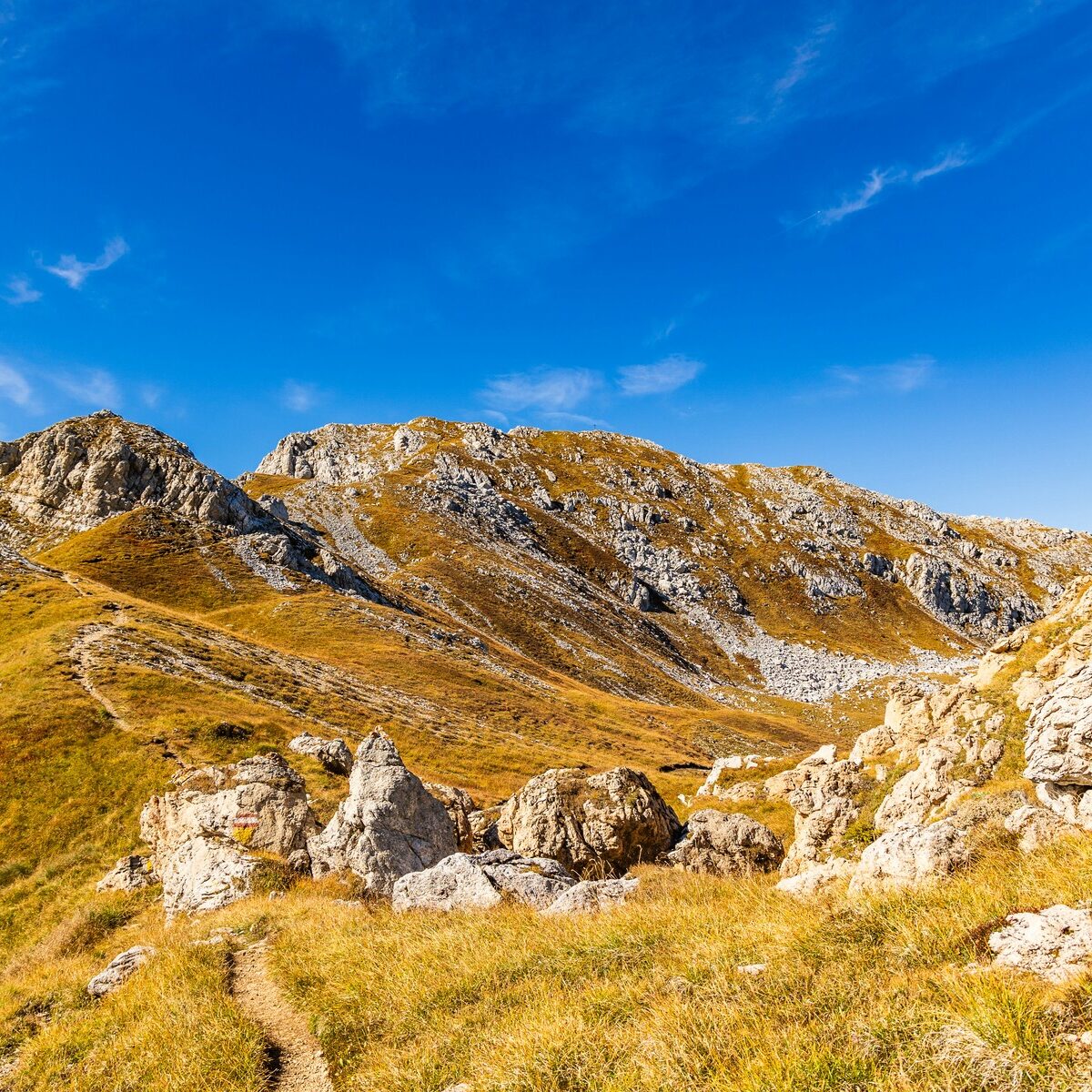 Landschaft_Rosengarten_Dolomiten_Viezzena_Viesena_Herbst_Wanderung