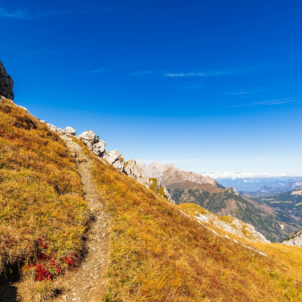 Landschaft_Rosengarten_Dolomiten_Viezzena_Viesena_Herbst_Wanderung