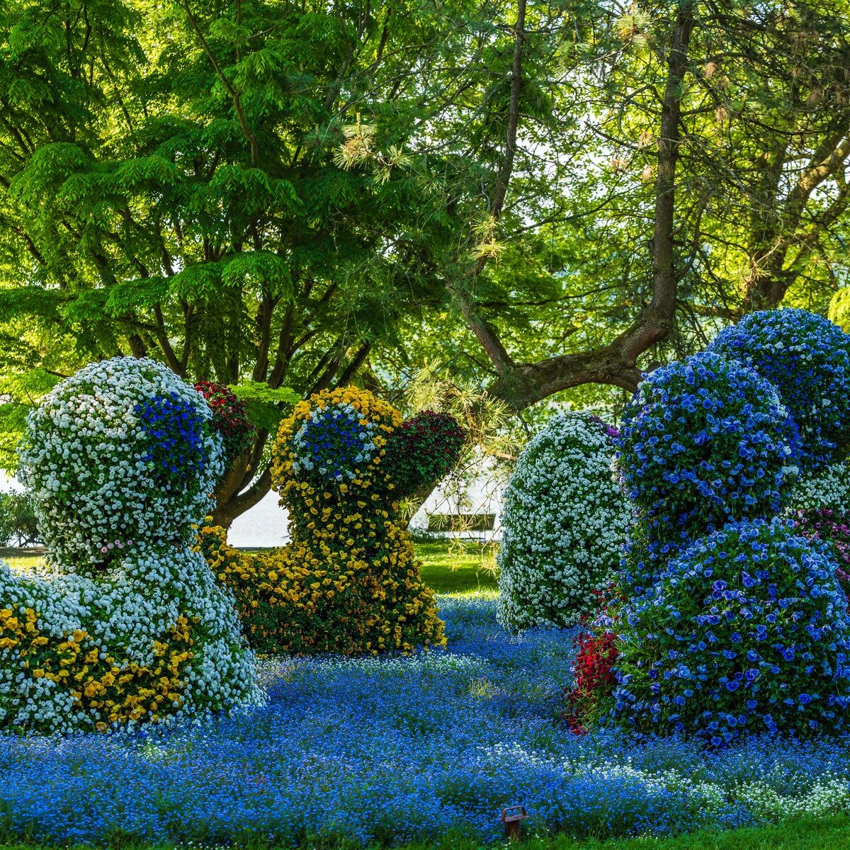 02_Bodensee_Mainau_Blumen
