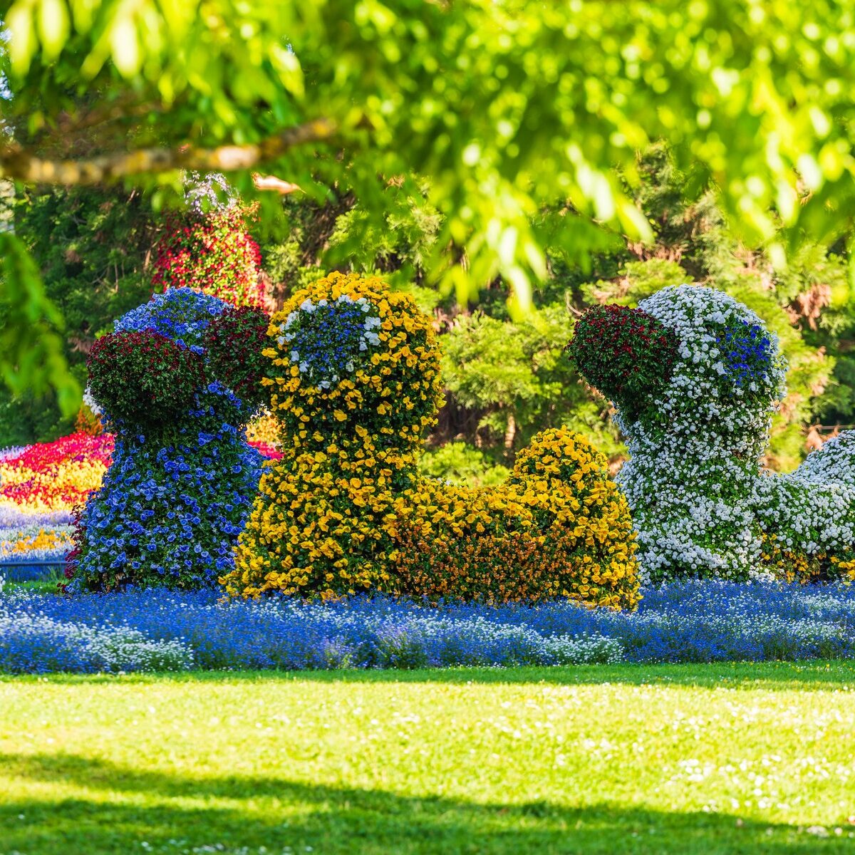 04_Bodensee_Mainau_Blumen