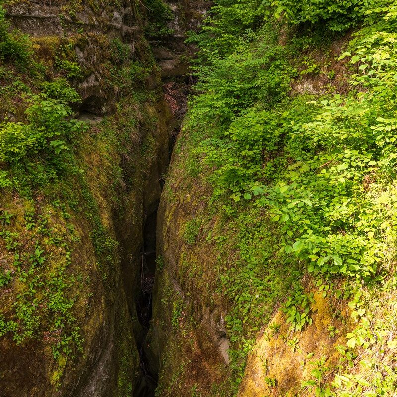 24_Bodensee-Marienschlucht_Wanderung