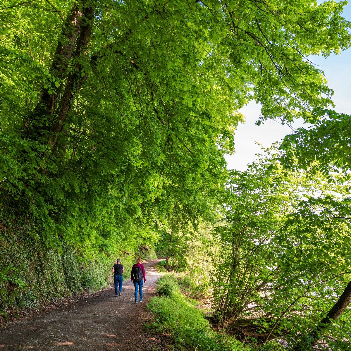 26_Bodensee-Marienschlucht_Wanderung
