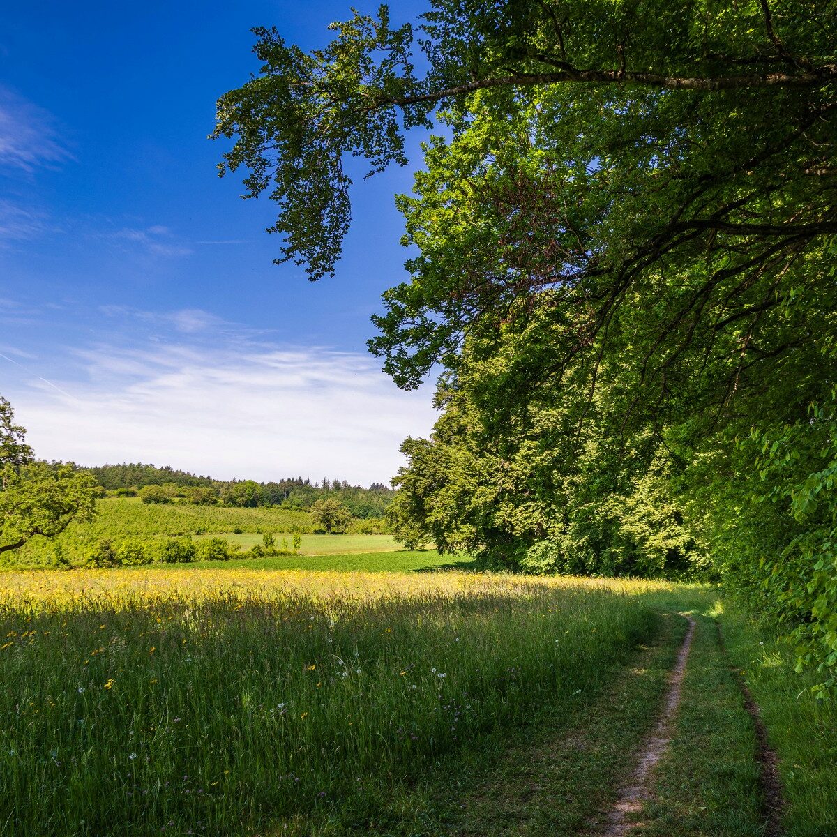 27_Bodensee-Marienschlucht_Wanderung
