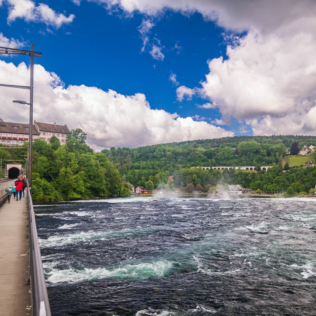 33_Schaffhausen_Rheinfall_Wanderung