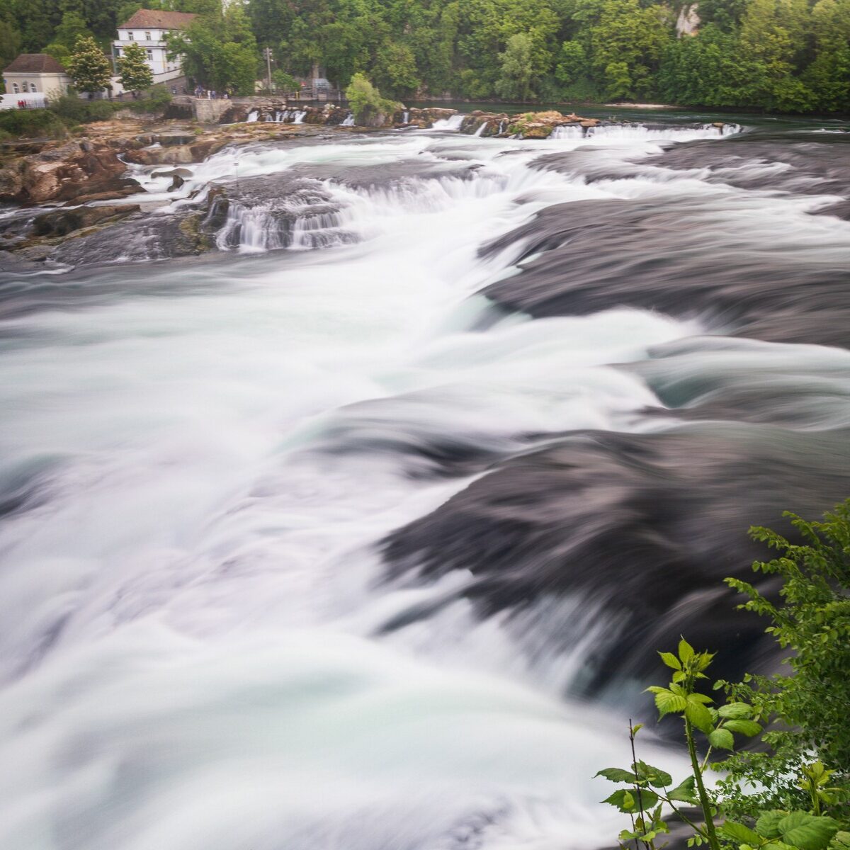 35_Schaffhausen_Rheinfall_Wanderung