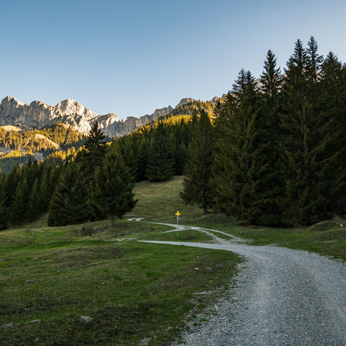 Thannheimer_Schneid_Rote_Flueh_Koellespitze_0001