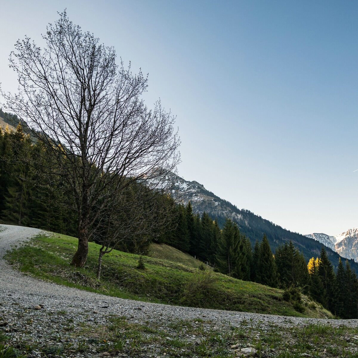 Thannheimer_Schneid_Rote_Flueh_Koellespitze_0002