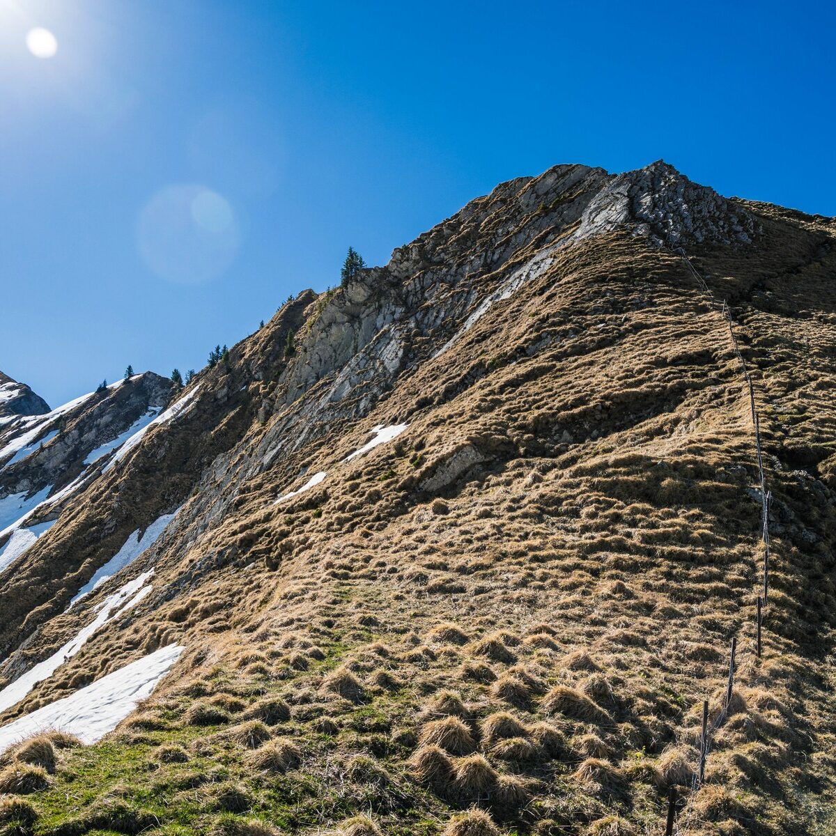 Thannheimer_Schneid_Rote_Flueh_Koellespitze_0008