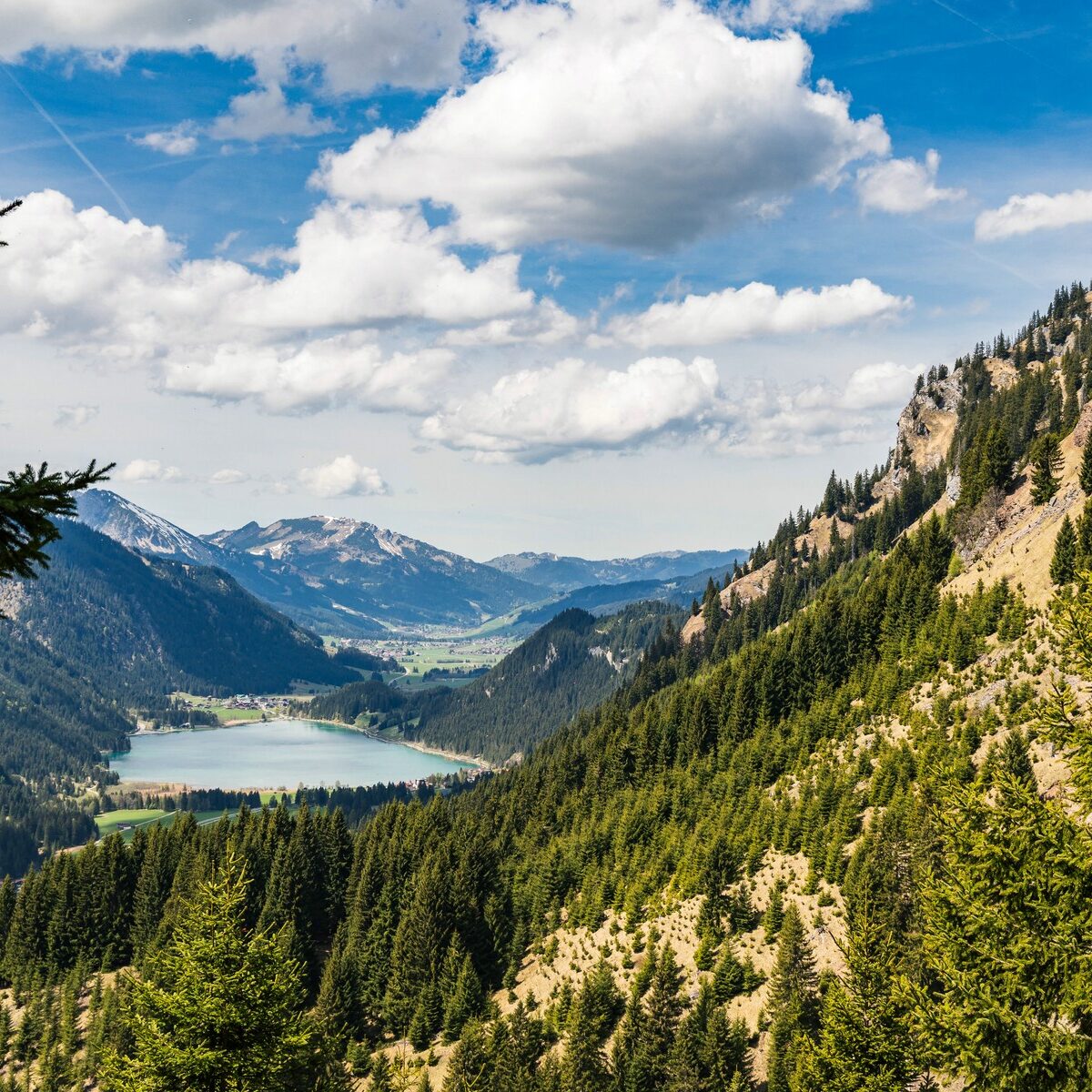 Thannheimer_Schneid_Rote_Flueh_Koellespitze_0027