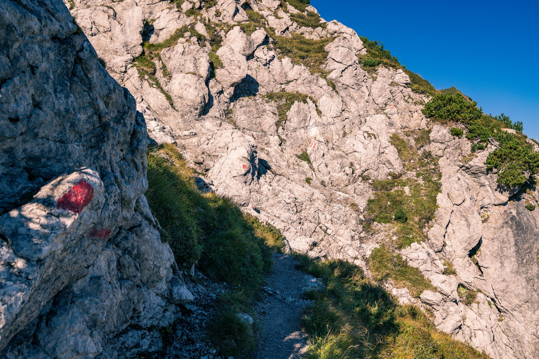 Bergtour_Tannheimer_Vilsalpsee_Kugelhorn_Schrecksee_18