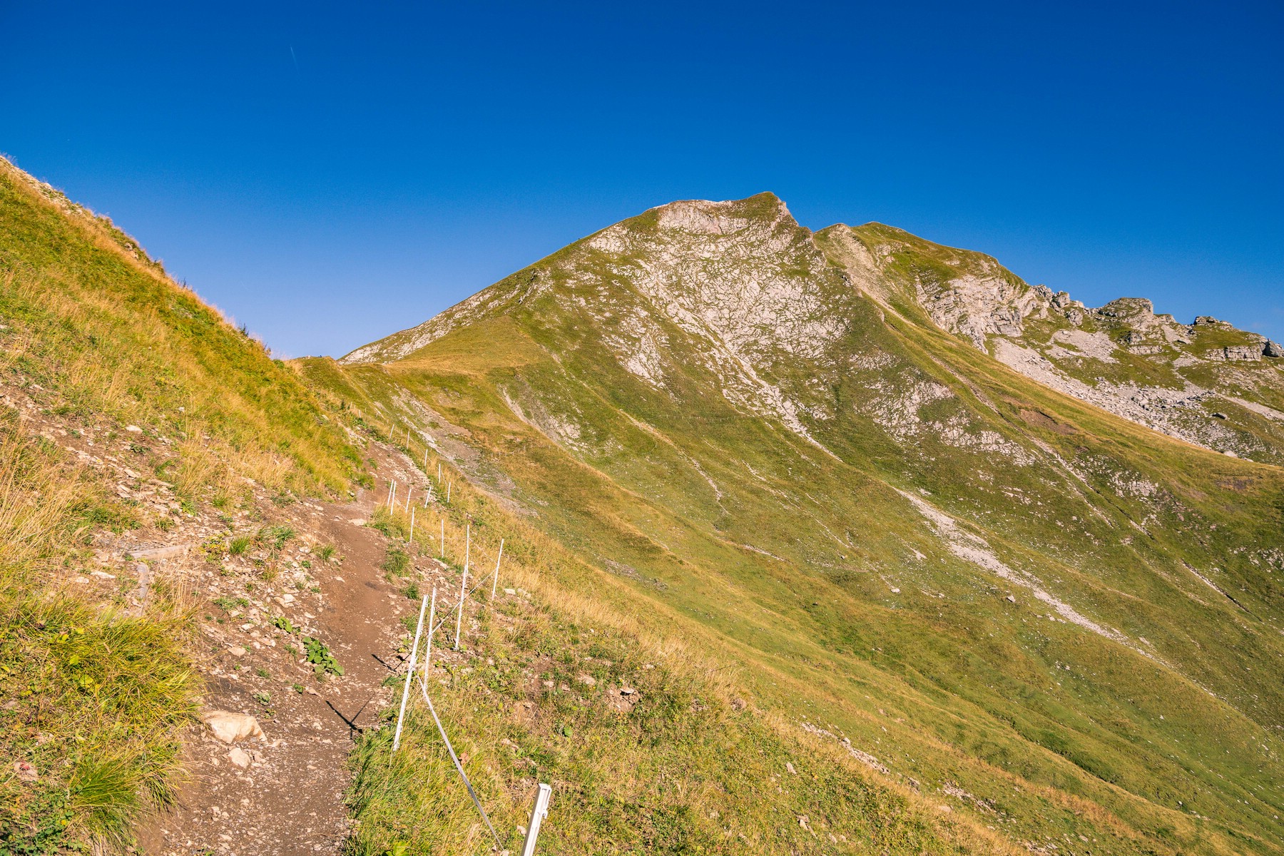 Bergtour_Tannheimer_Vilsalpsee_Kugelhorn_Schrecksee_21