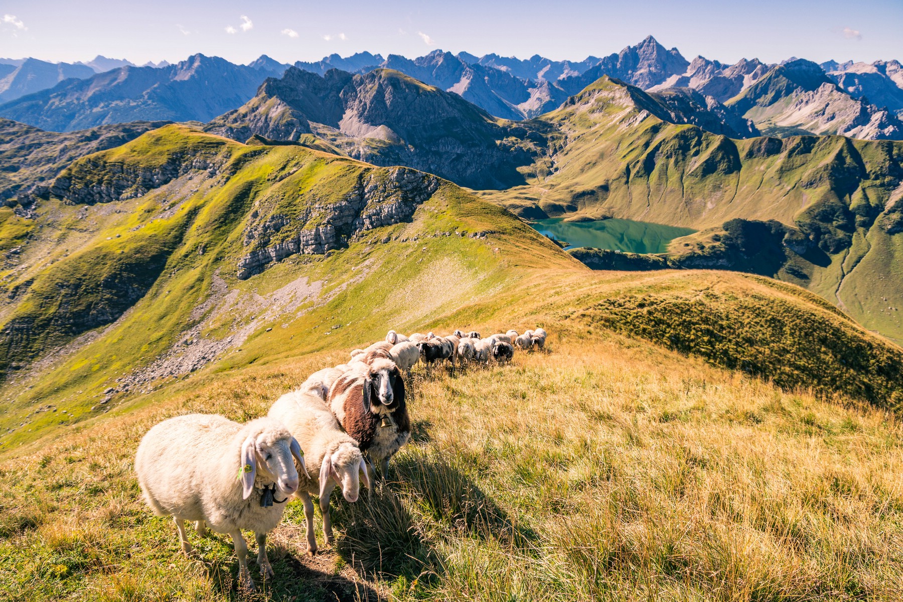 Bergtour_Tannheimer_Vilsalpsee_Kugelhorn_Schrecksee_30