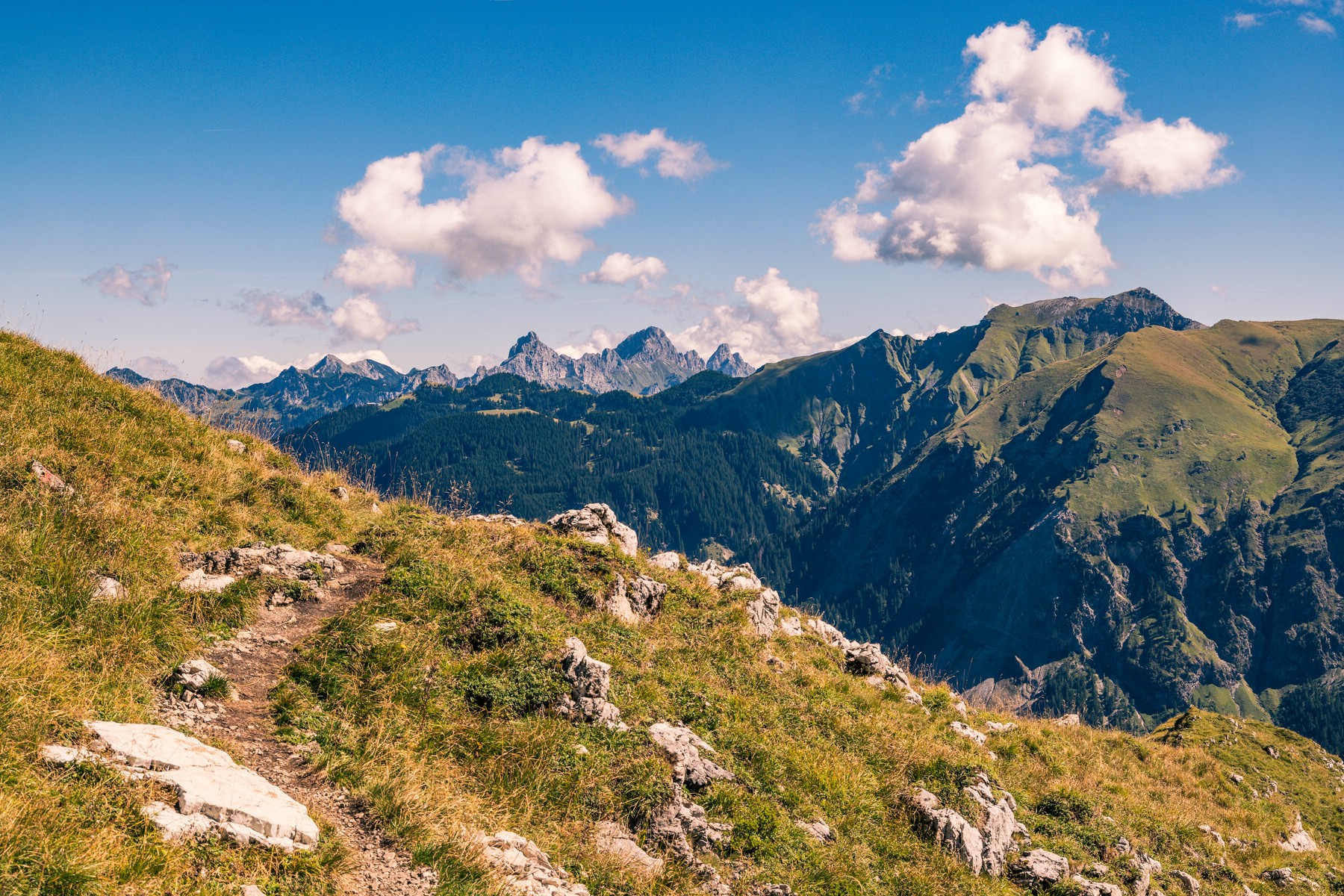 Bergtour_Tannheimer_Vilsalpsee_Kugelhorn_Schrecksee_38